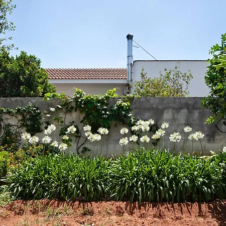 Maroby & Parking Guest house